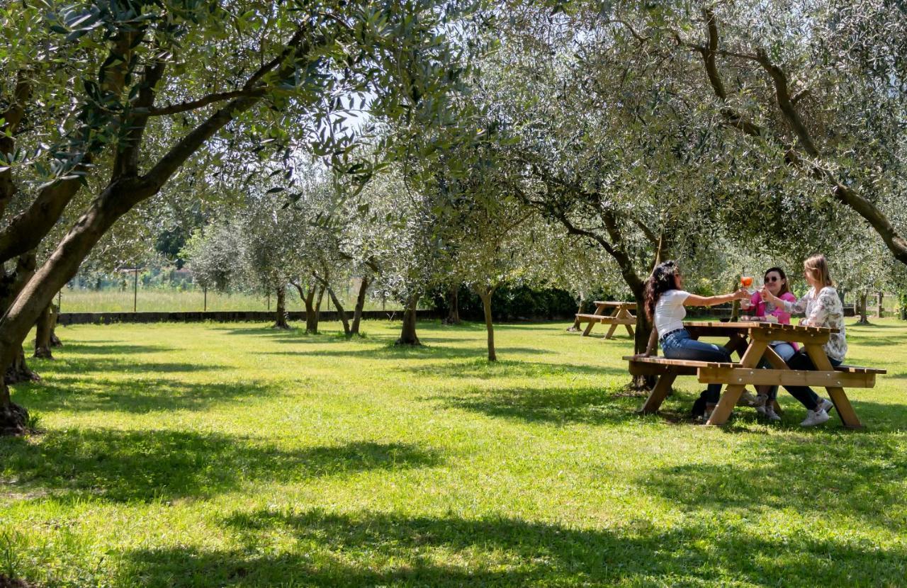 Agriturismo Ca Del Lago Граведона Экстерьер фото