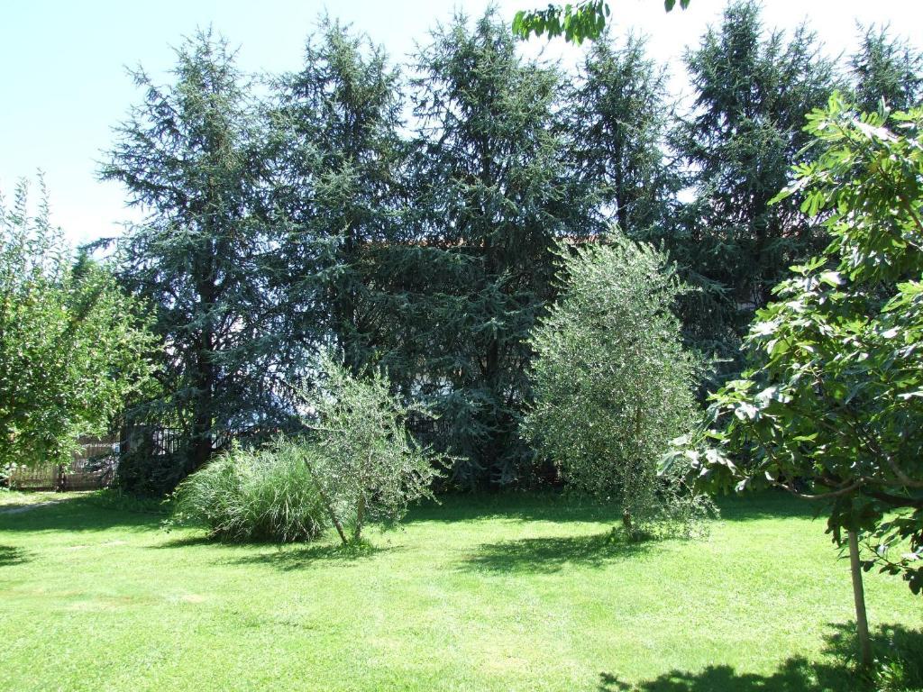 Agriturismo Ca Del Lago Граведона Экстерьер фото