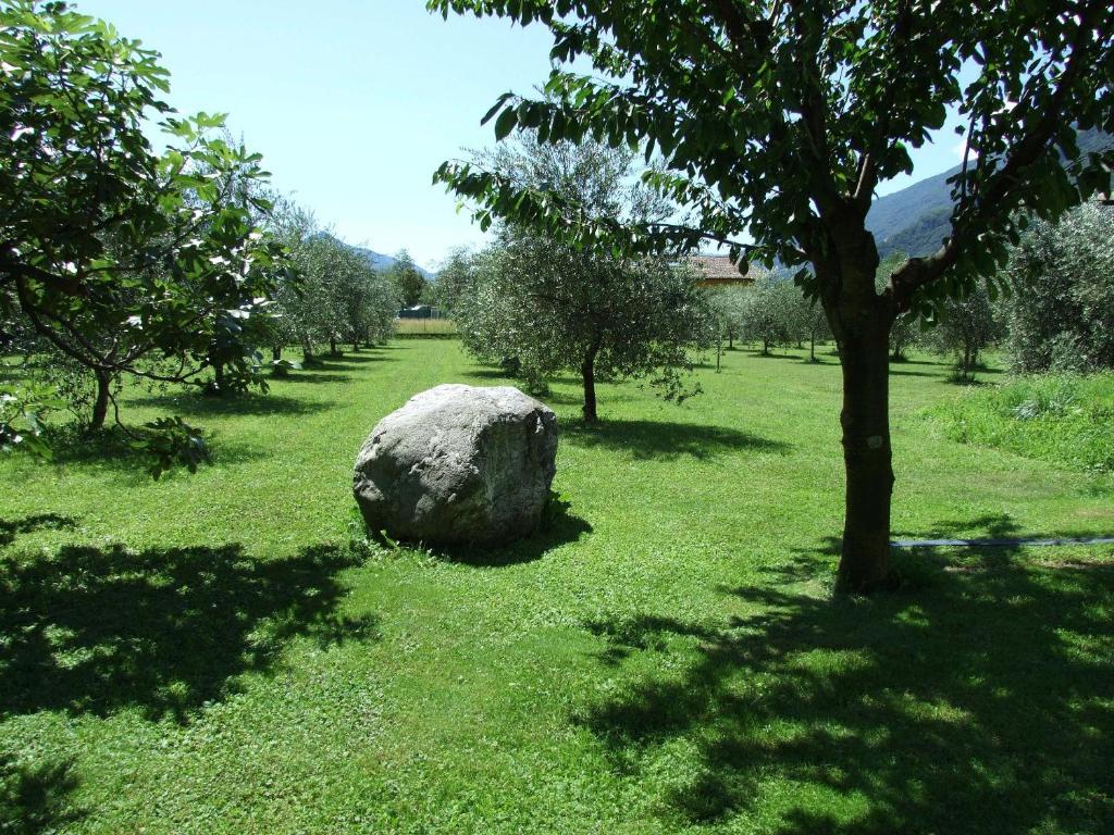 Agriturismo Ca Del Lago Граведона Экстерьер фото